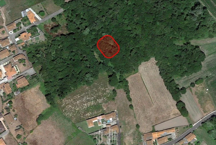 Terreno Agricola ou Rústico para Venda em Murtosa