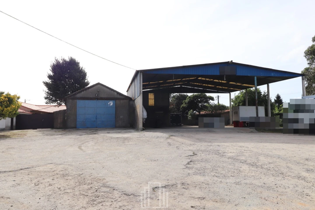 Terreno Agricola ou Rústico para Arrendamento em Avanca Foto 3