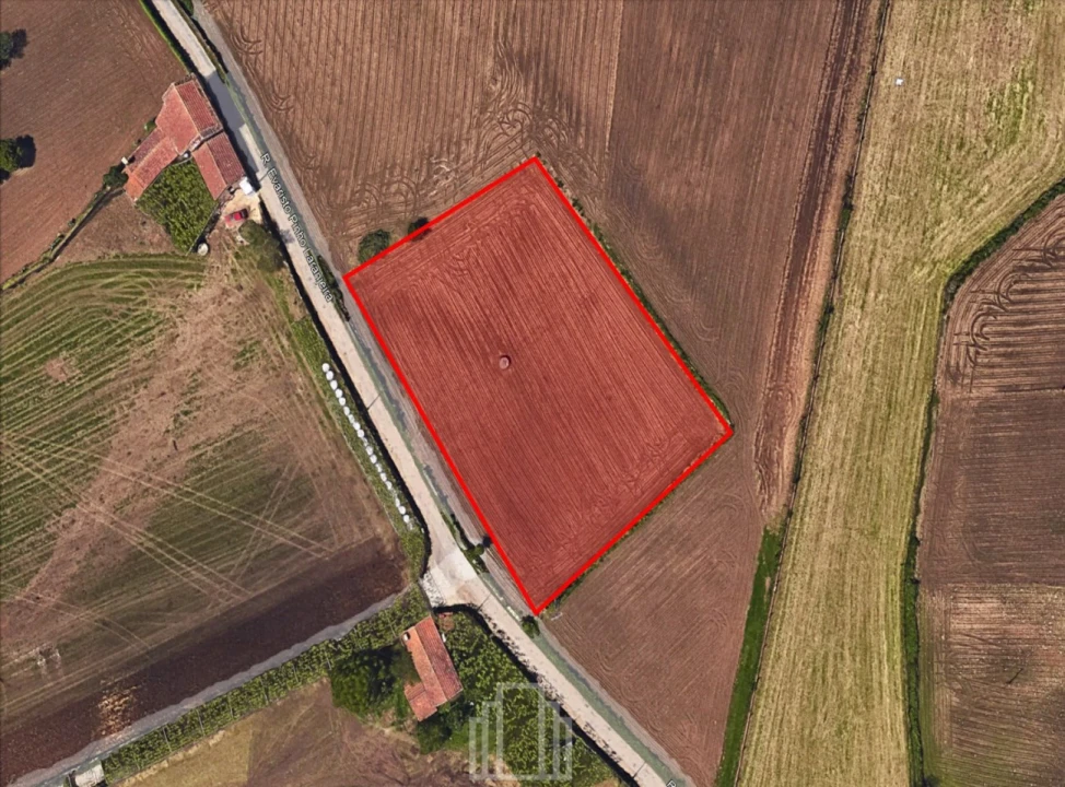 Terreno Agricola ou Rústico para Venda em Valega Foto 1