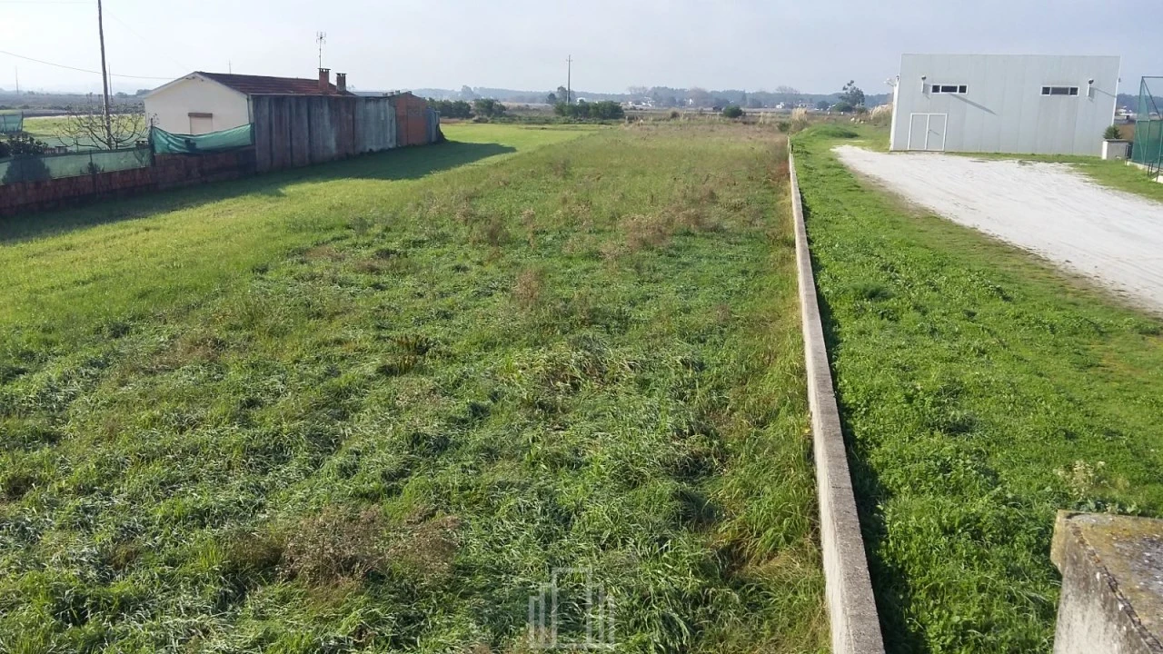 Terreno Agricola ou Rústico para Venda em Ovar, São João, Arada e São Vicente de Pereira Jusã Foto 4