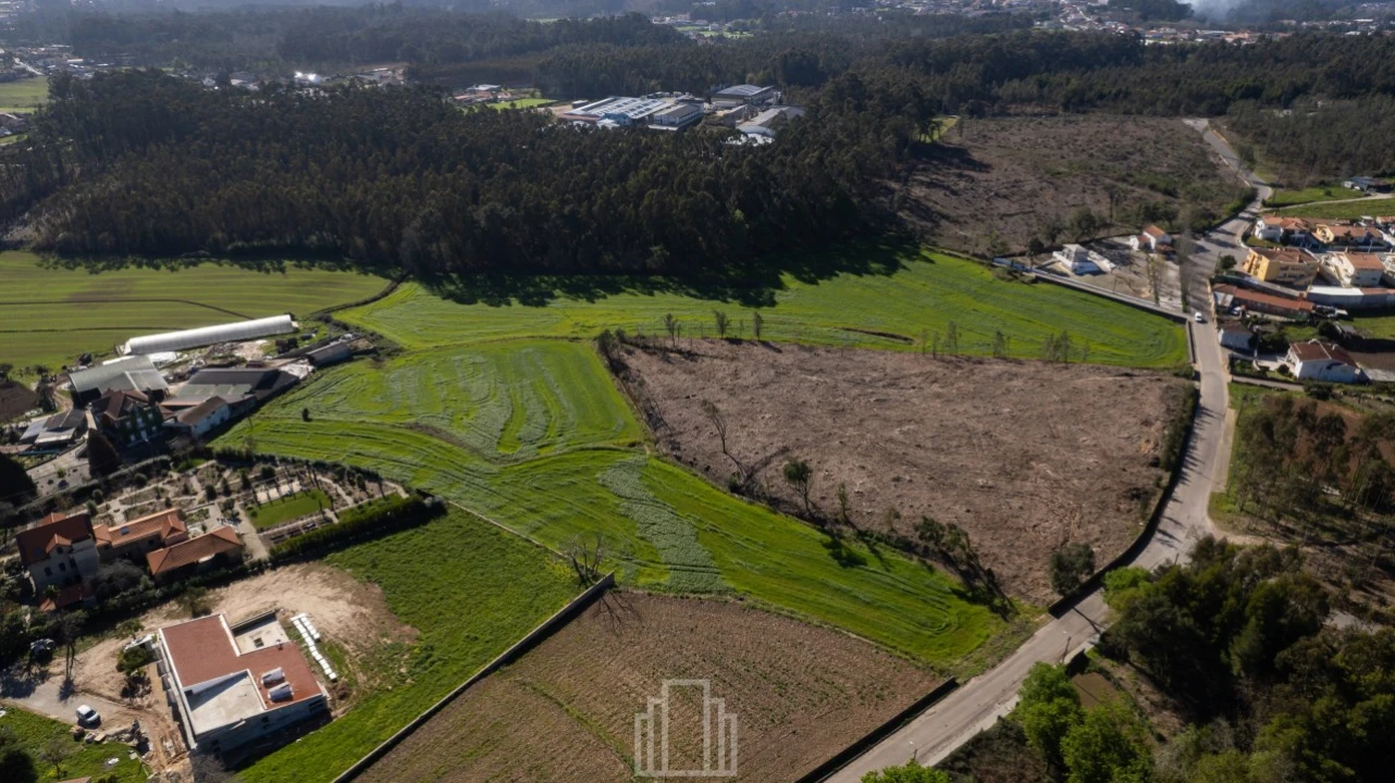Terreno Agricola ou Rústico para Venda em Ovar, São João, Arada e São Vicente de Pereira Jusã Foto 6
