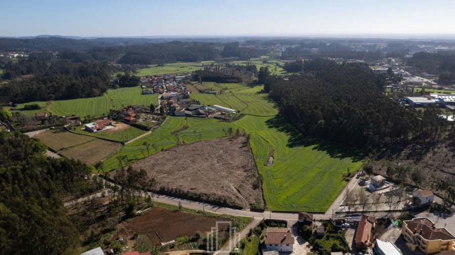 Terreno Agricola ou Rústico para Venda em Ovar, São João, Arada e São Vicente de Pereira Jusã Foto 3