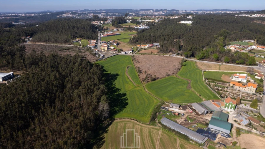 Terreno Agricola ou Rústico para Venda em Ovar, São João, Arada e São Vicente de Pereira Jusã Foto 4