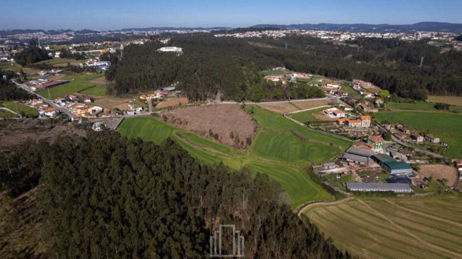 Terreno Agricola ou Rústico para Venda em Ovar, São João, Arada e São Vicente de Pereira Jusã Foto 5