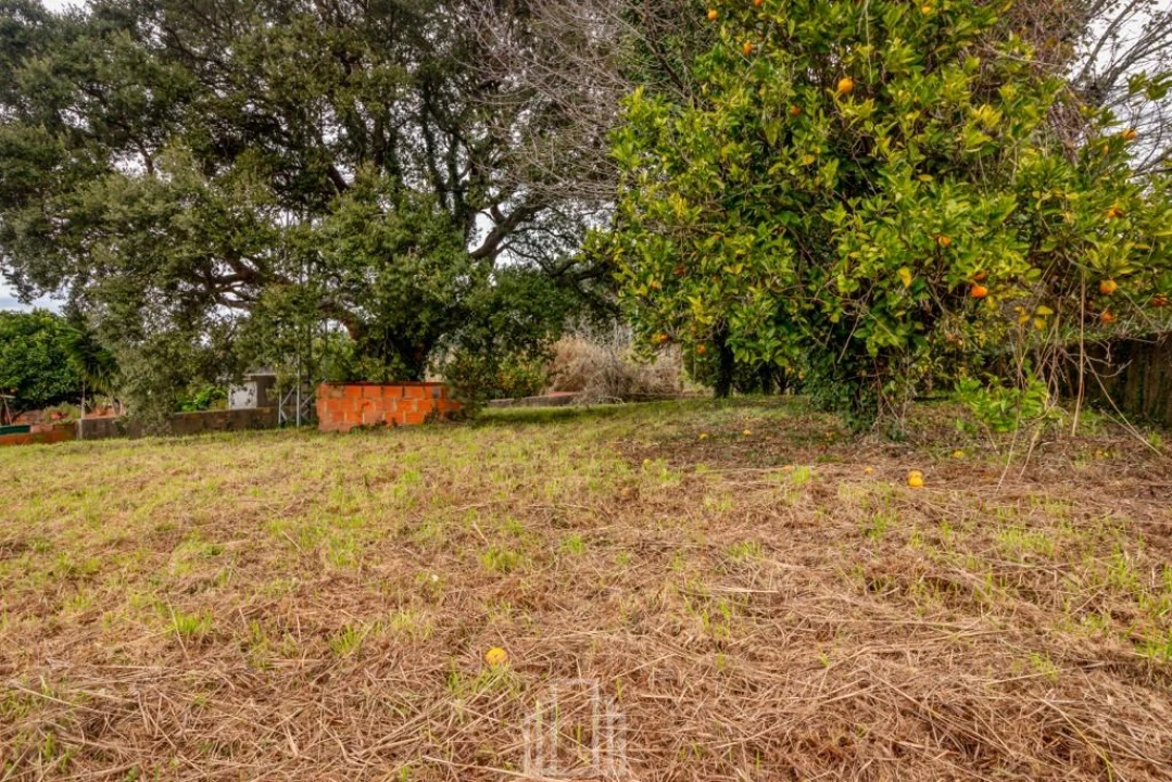 Terreno para Venda em Salreu Foto 2