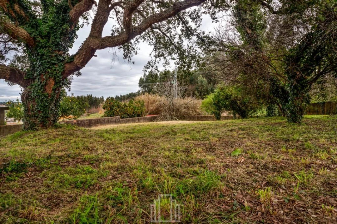 Terreno para Venda em Salreu Foto 3
