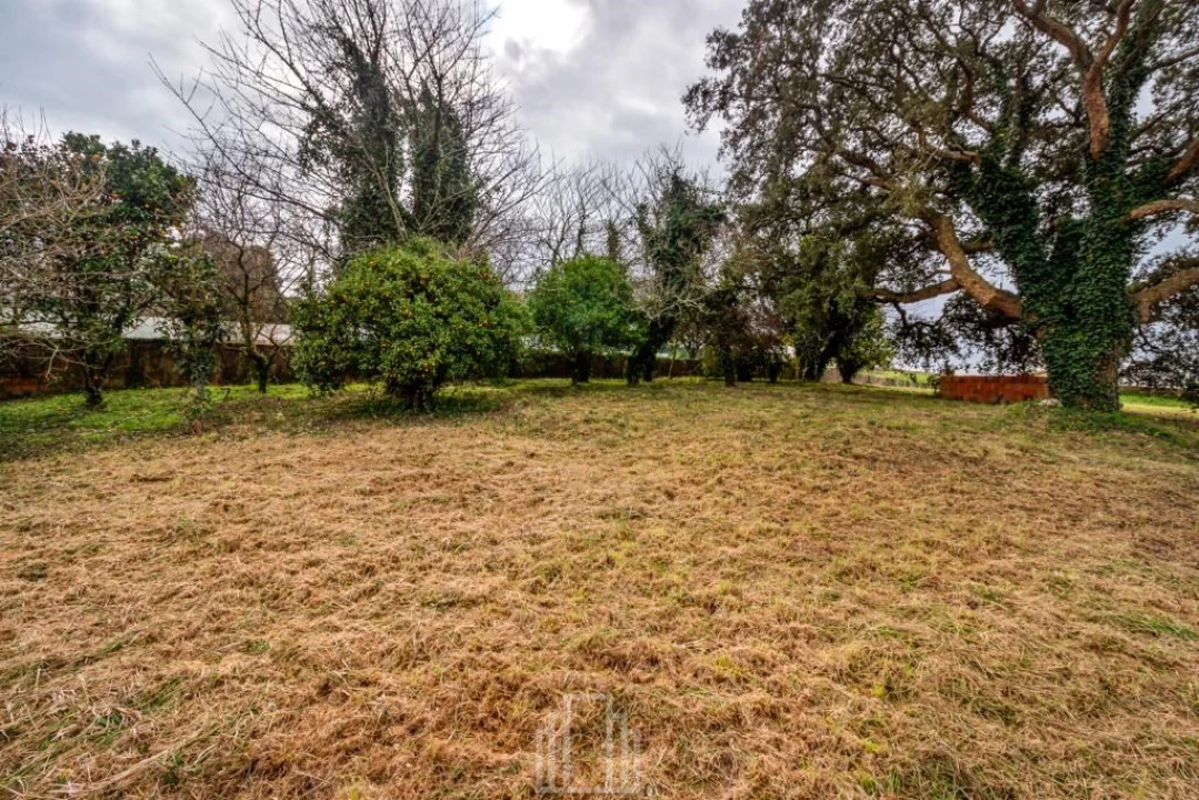 Terreno para Venda em Salreu Foto 4