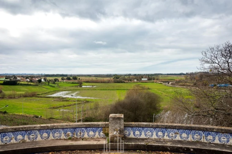 Terreno para Venda em Salreu Foto 10