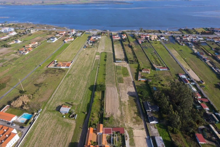 Terreno Agricola ou Rústico para Venda em Torreira Foto 7