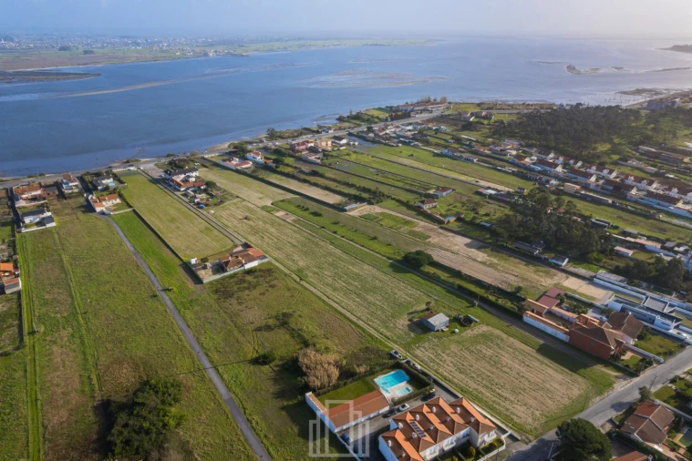 Terreno Agricola ou Rústico para Venda em Torreira Foto 8