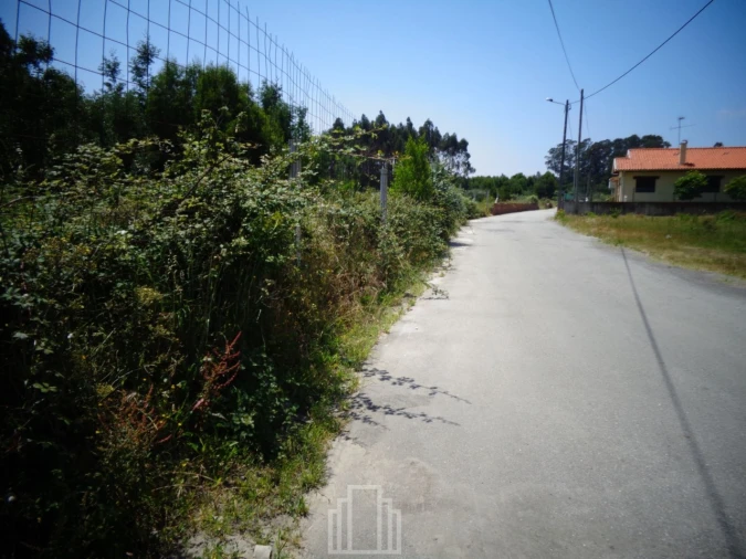 Terreno para Venda em Avanca Foto 8