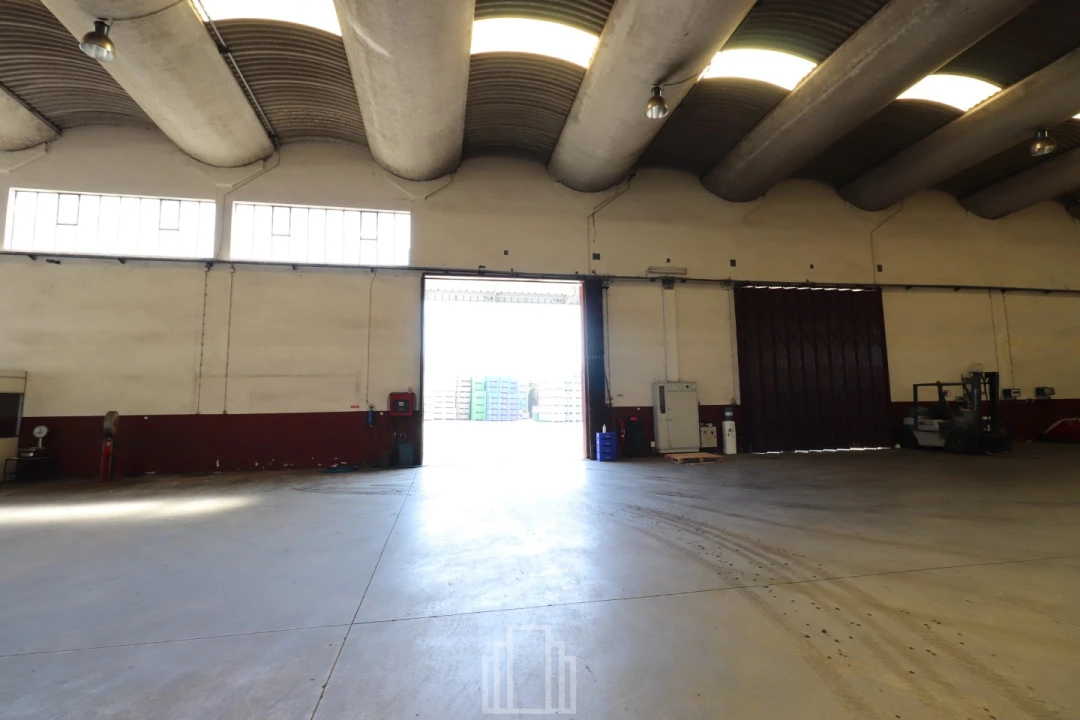 Armazém para Venda em São Miguel do Souto e Mosteirô Foto 3