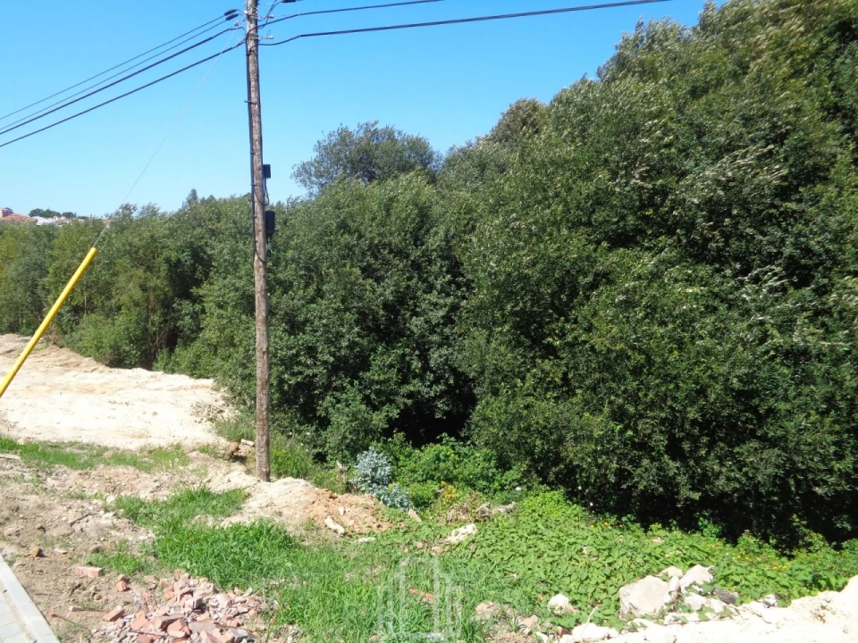 Terreno para Venda em Rio Meão Foto 3