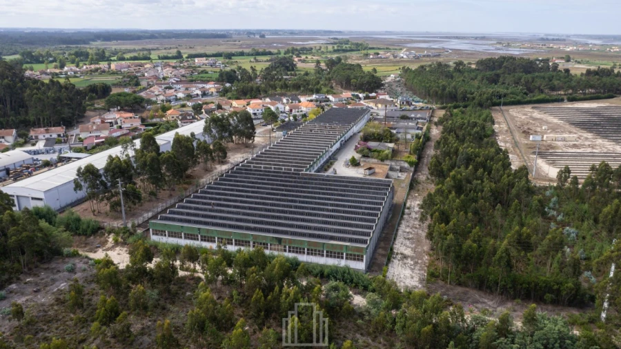 Armazém para Venda em Ovar, São João, Arada e São Vicente de Pereira Jusã Foto 3
