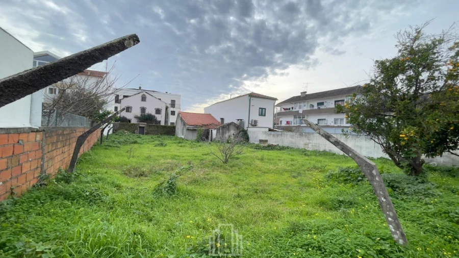 Terreno Agricola ou Rústico para Venda em Ovar, São João, Arada e São Vicente de Pereira Jusã Foto 3