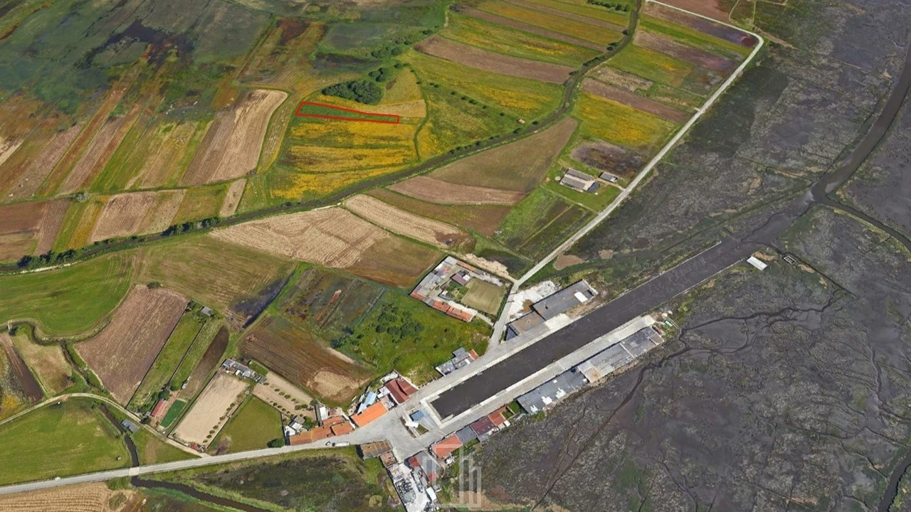 Terreno Agricola ou Rústico para Venda em Ovar, São João, Arada e São Vicente de Pereira Jusã Foto 2