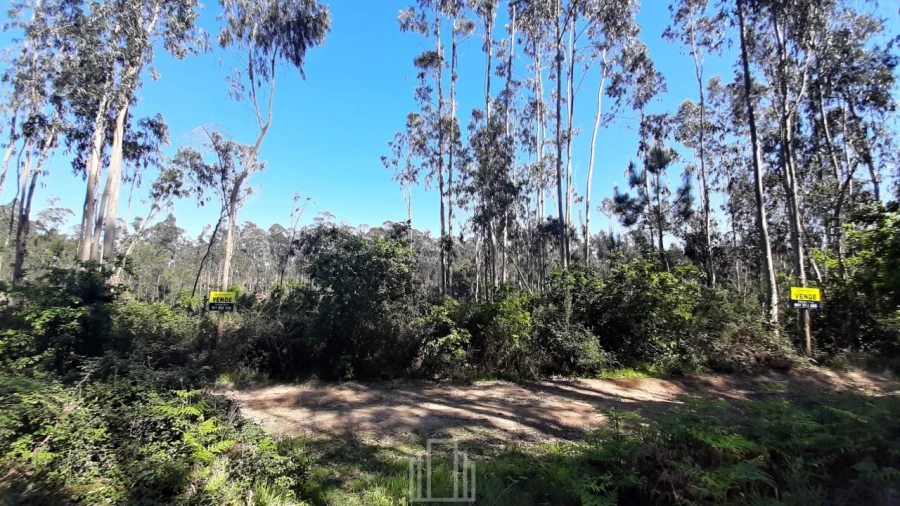 Terreno Agricola ou Rústico para Venda em Ovar, São João, Arada e São Vicente de Pereira Jusã Foto 6