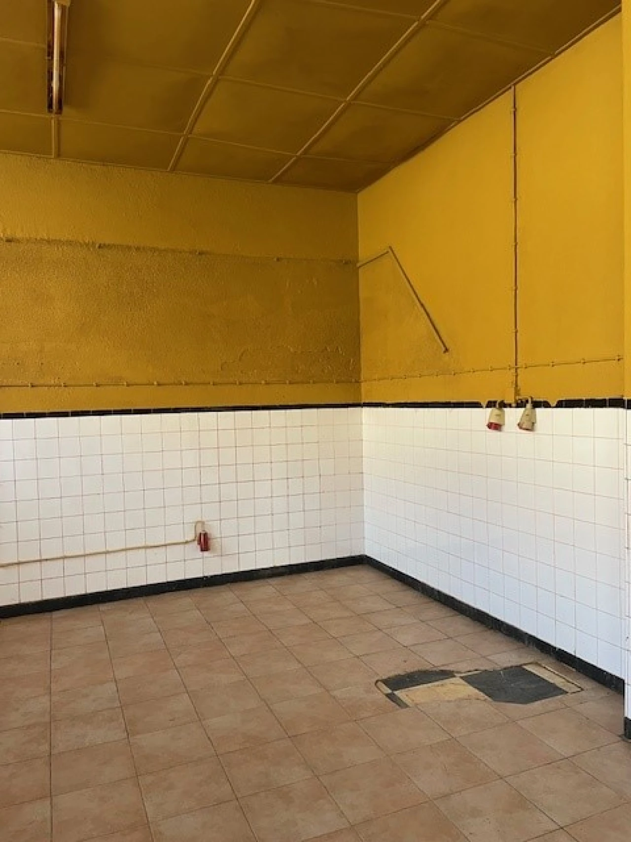 Loja para Arrendamento em Ponte de Sor, Tramaga e Vale de Açor Foto 3