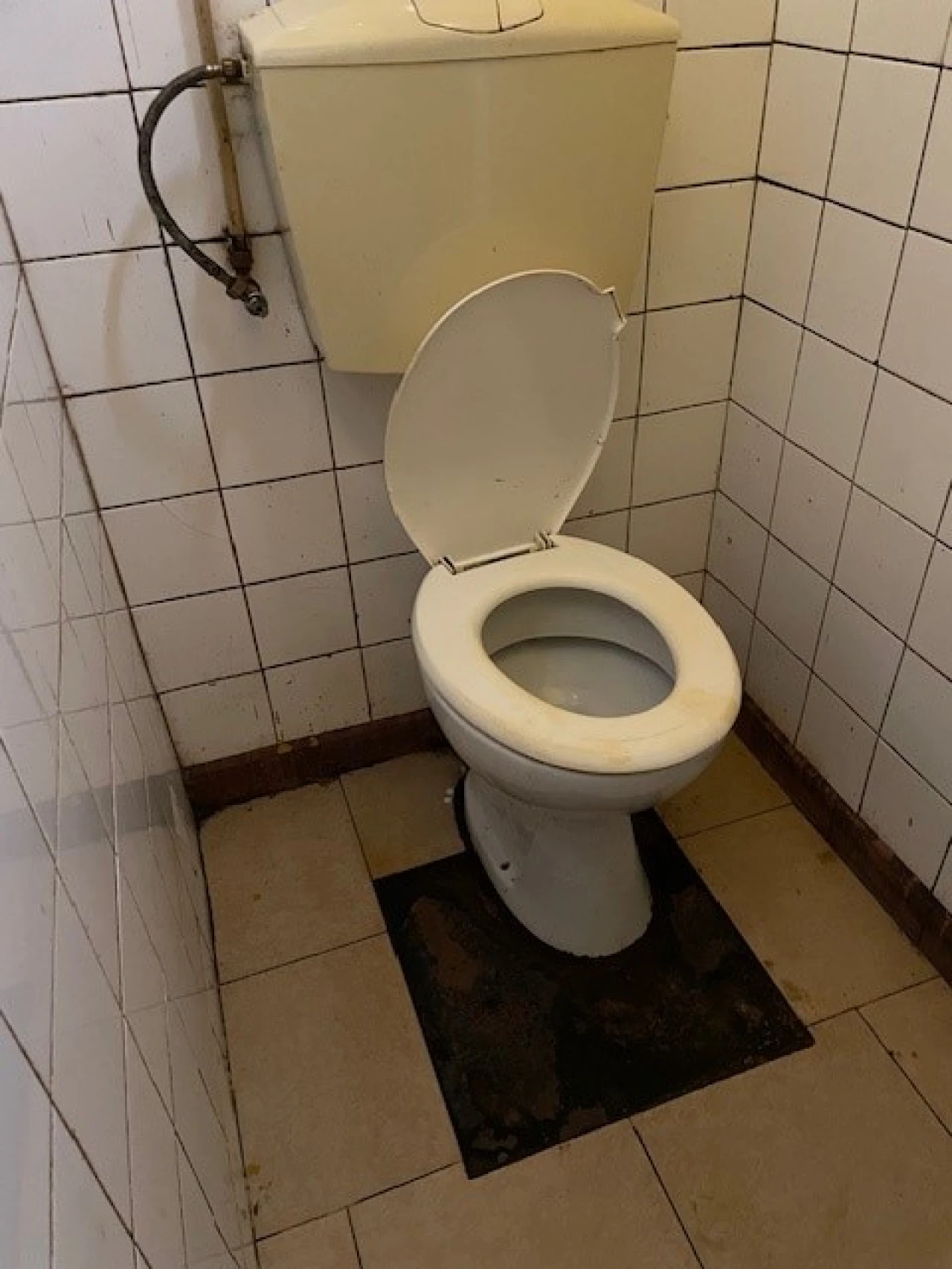 Loja para Arrendamento em Ponte de Sor, Tramaga e Vale de Açor Foto 5