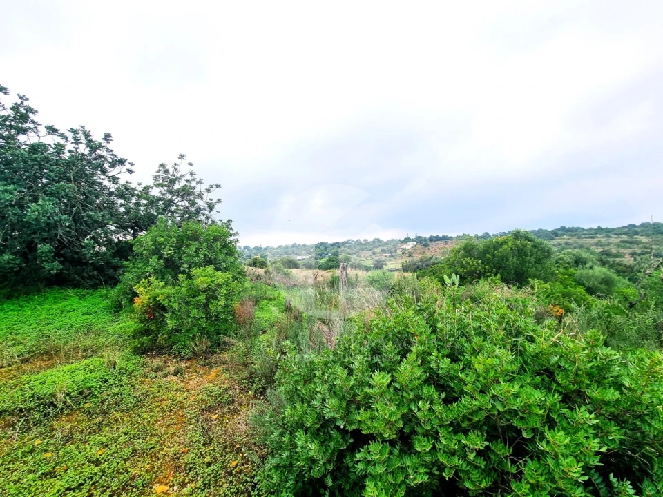 Moradia para Venda em Quelfes Foto 12