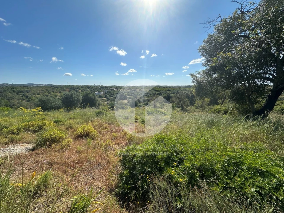 Moradia para Venda em Quelfes Foto 13