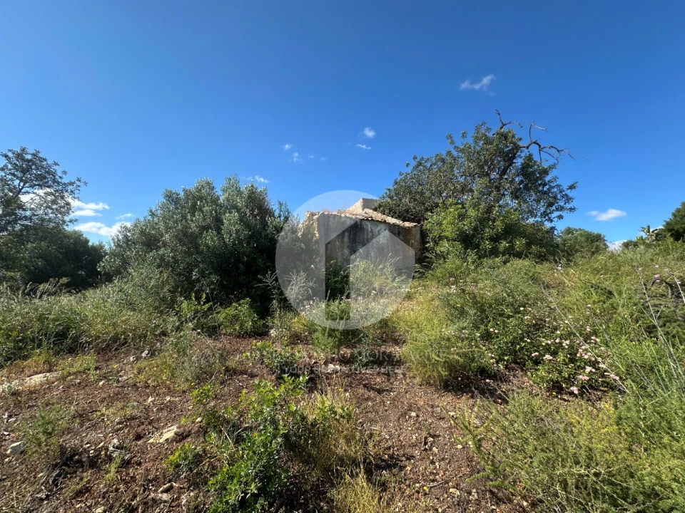 Moradia para Venda em Quelfes Foto 4