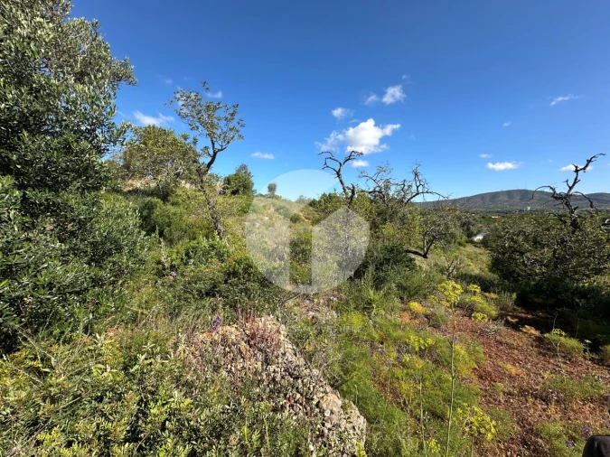 Moradia para Venda em Quelfes Foto 12