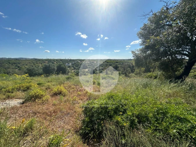 Moradia para Venda em Quelfes Foto 13