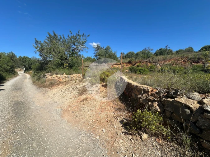 Moradia para Venda em Quelfes Foto 19