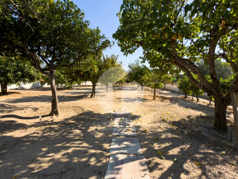 Moradia T5 para Venda em Pechão Foto 52