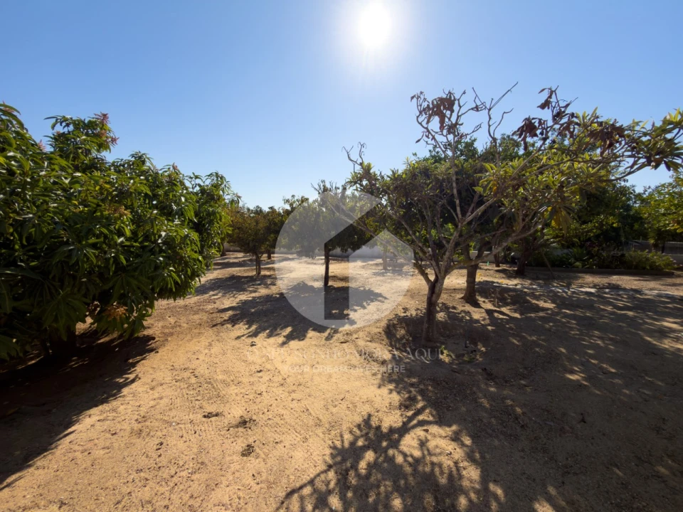 Moradia T5 para Venda em Pechão Foto 53