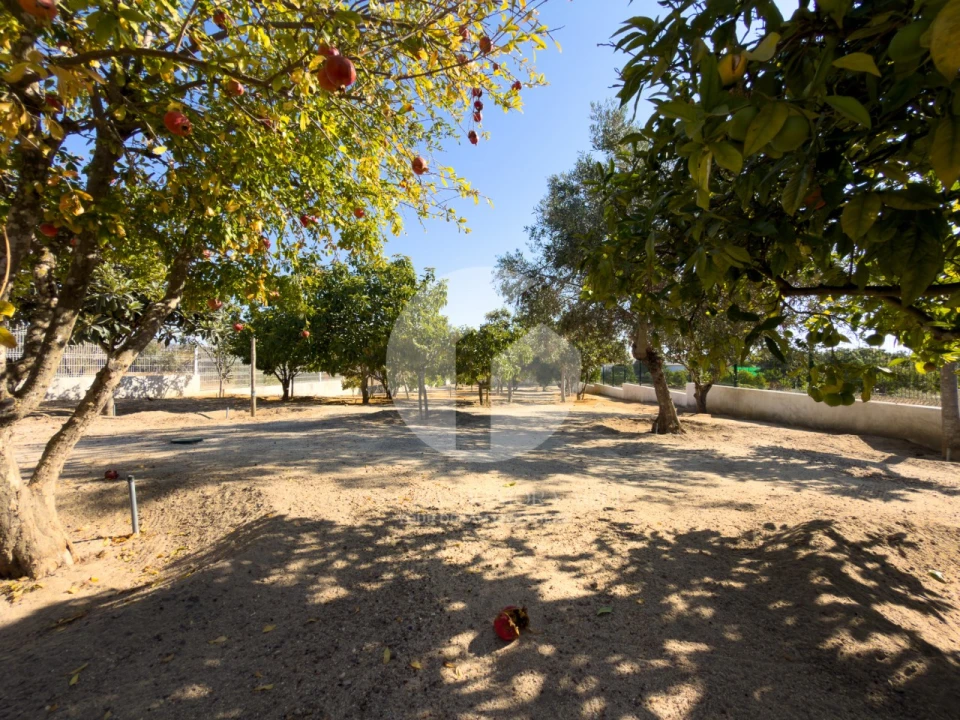 Moradia T5 para Venda em Pechão Foto 55