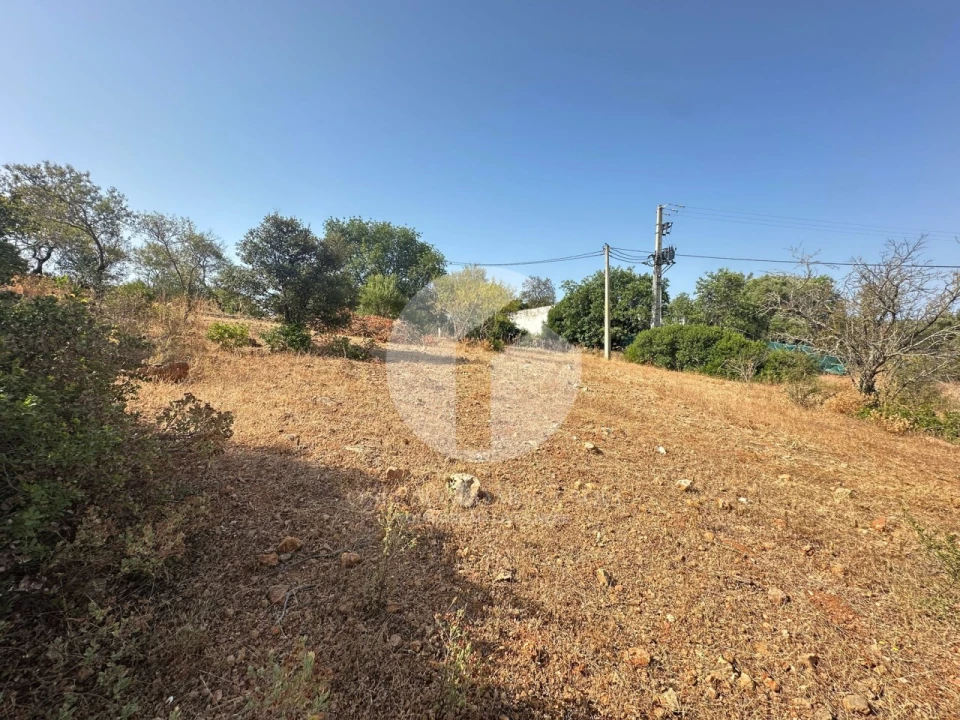 Terreno Agricola ou Rústico para Venda em Pechão Foto 6