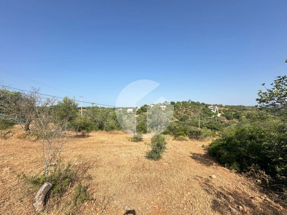 Terreno Agricola ou Rústico para Venda em Pechão Foto 8