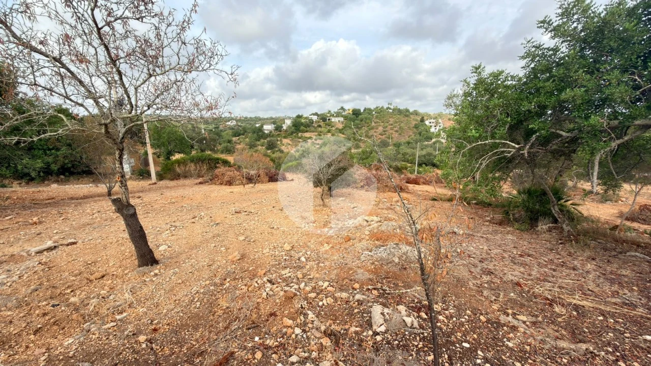 Terreno Agricola ou Rústico para Venda em Pechão Foto 4