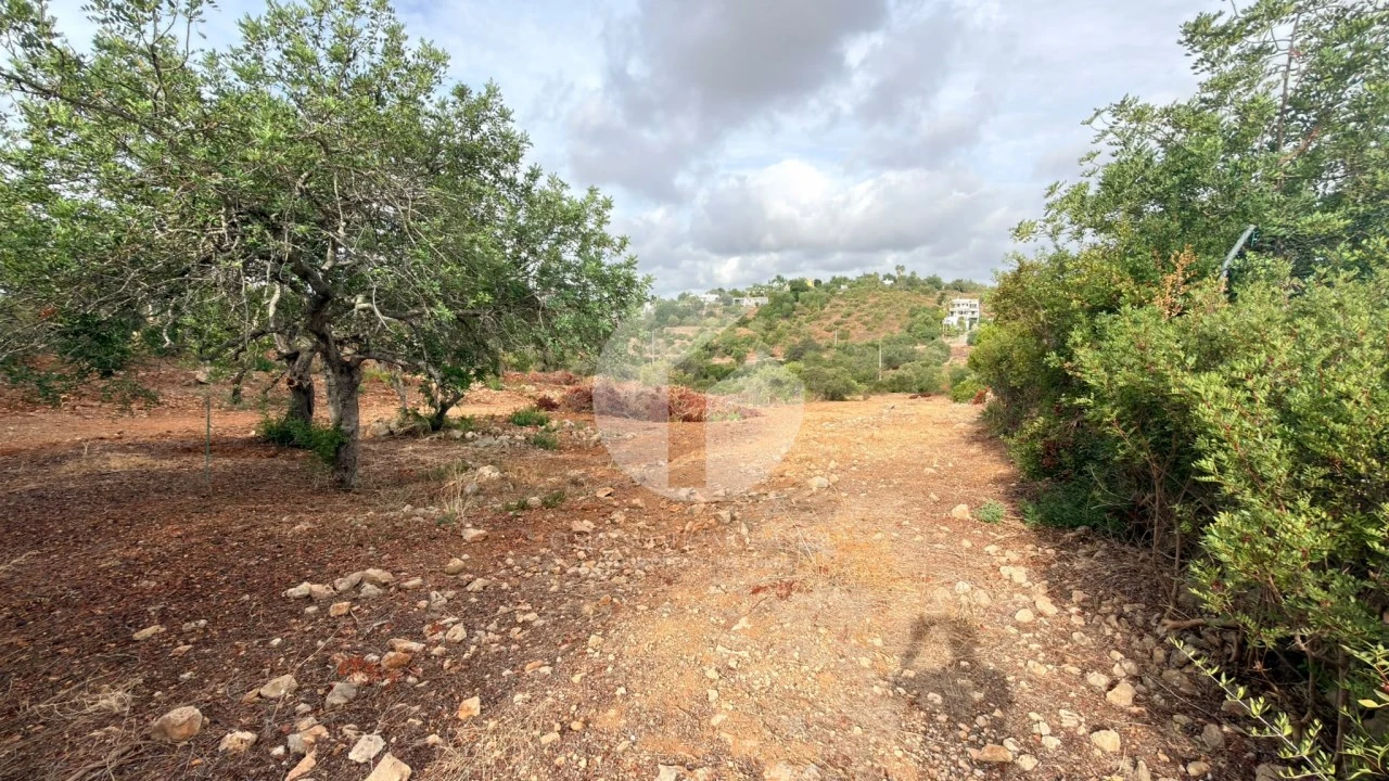 Terreno Agricola ou Rústico para Venda em Pechão Foto 8