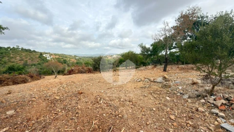 Terreno Agricola ou Rústico para Venda em Pechão