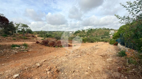 Terreno Agricola ou Rústico para Venda em Pechão