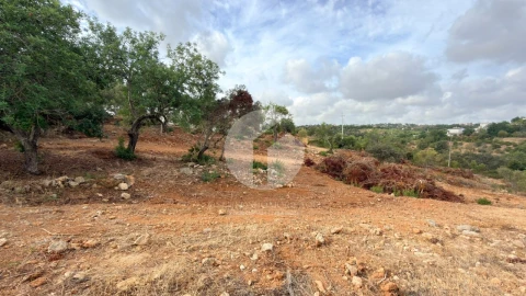 Terreno Agricola ou Rústico para Venda em Pechão