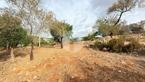 Terreno Agricola ou Rústico para Venda em Pechão