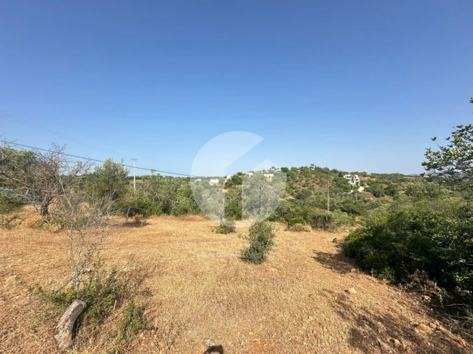 Terreno Agricola ou Rústico para Venda em Pechão Foto 8