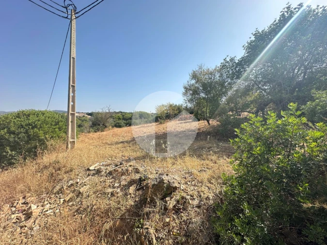 Terreno Agricola ou Rústico para Venda em Pechão Foto 9