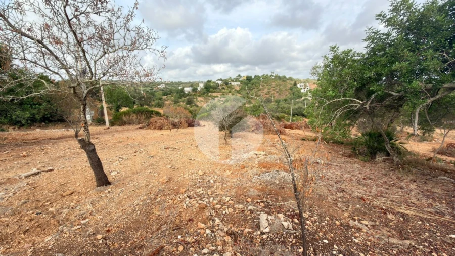 Terreno Agricola ou Rústico para Venda em Pechão Foto 4