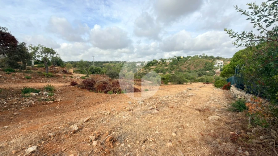 Terreno Agricola ou Rústico para Venda em Pechão Foto 6