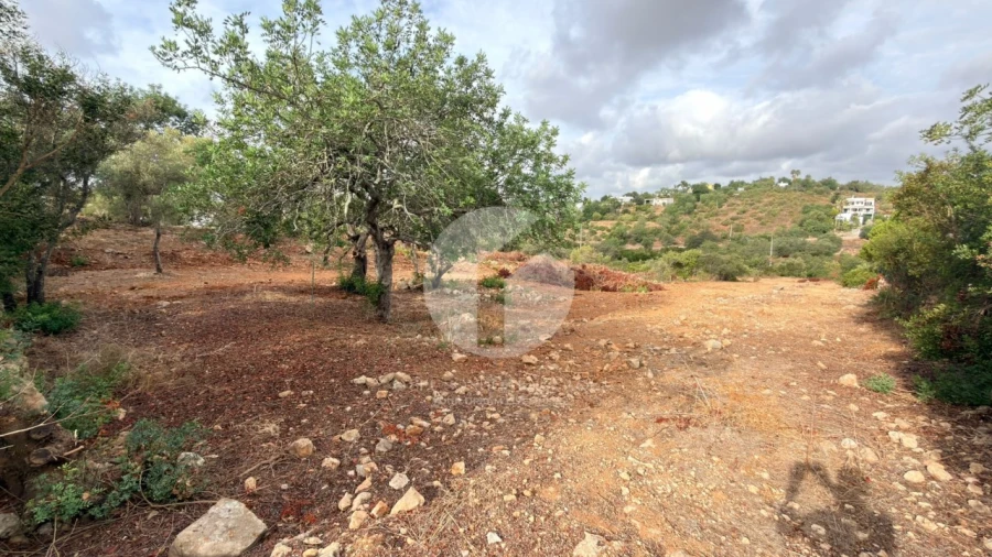 Terreno Agricola ou Rústico para Venda em Pechão Foto 9