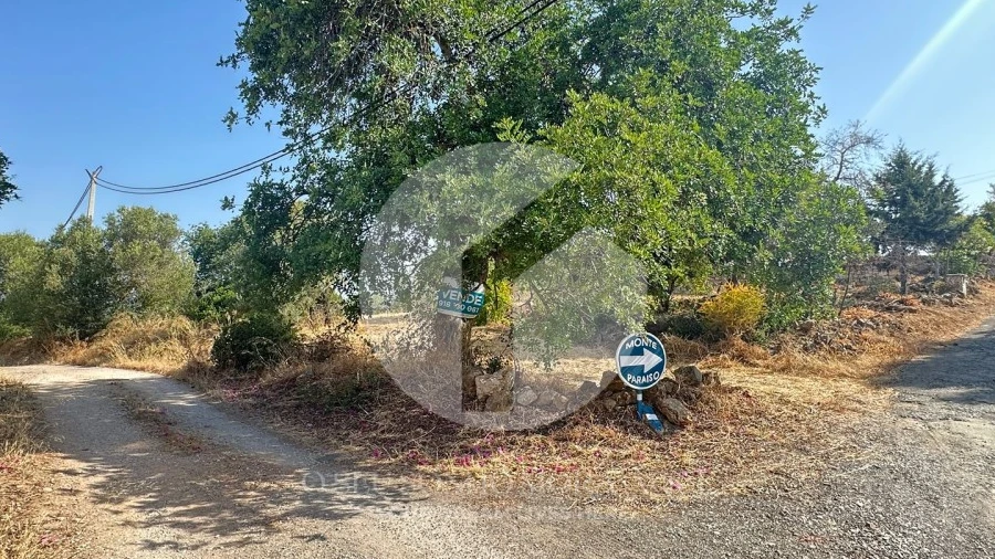 Terreno Agricola ou Rústico para Venda em Pechão