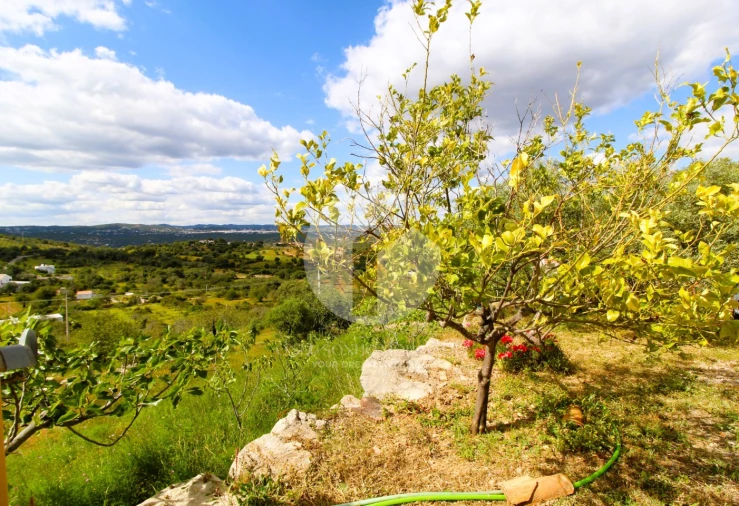 Moradia T2 para Venda em Conceição e Estoi Foto 20