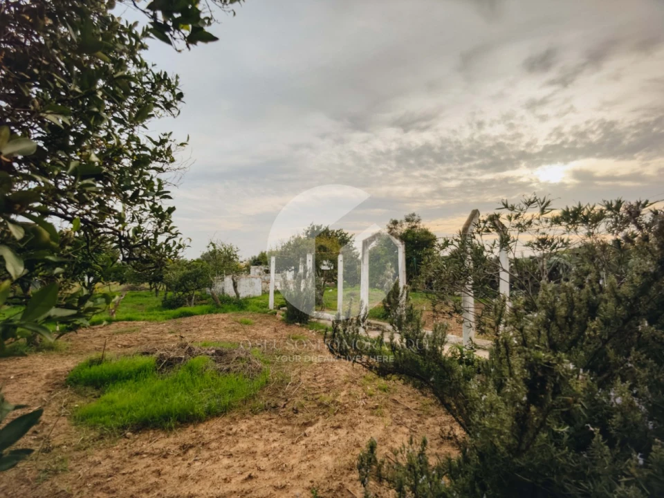 Moradia T3 para Venda em Moncarapacho e Fuseta Foto 8