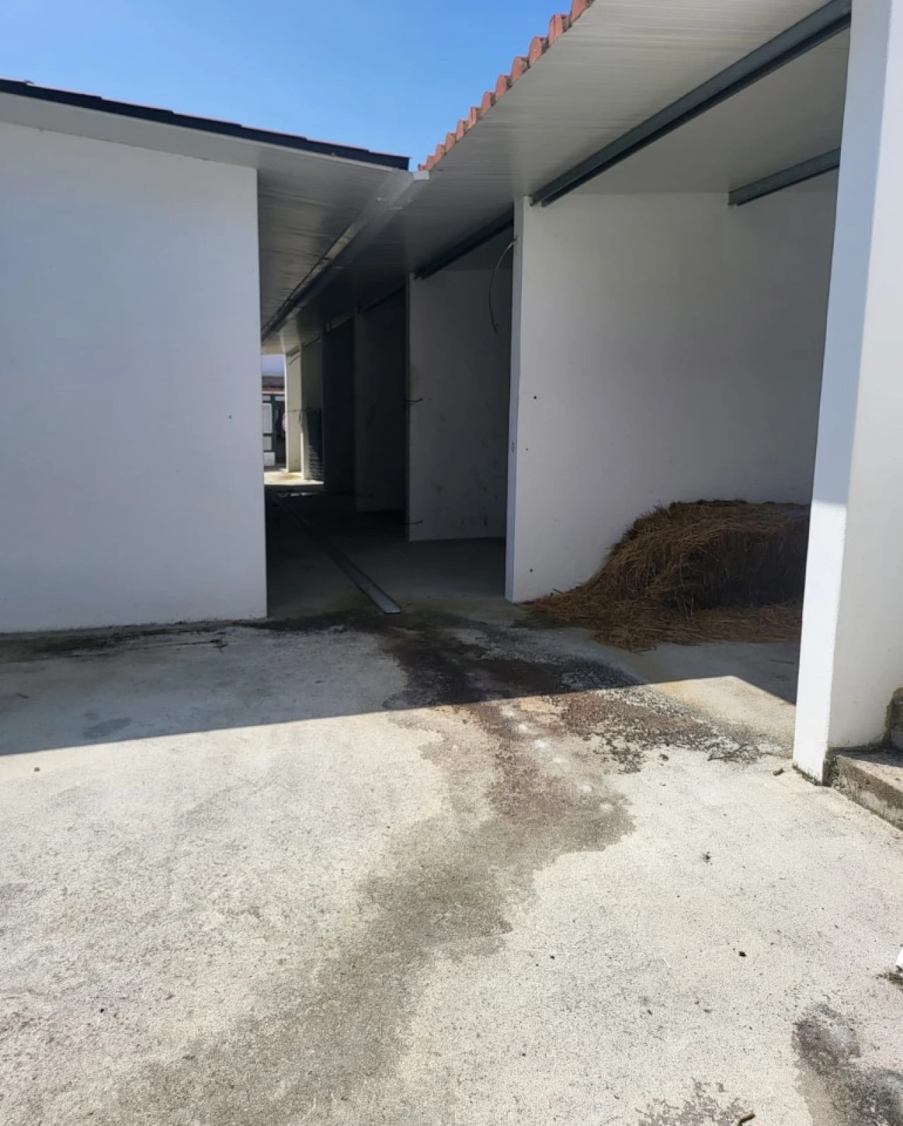 Moradia T5 para Venda em Golegã Foto 8