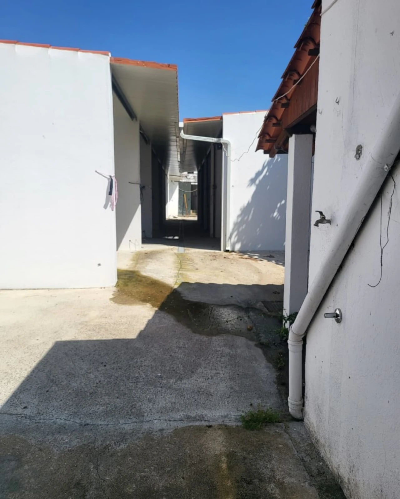 Moradia T5 para Venda em Golegã Foto 12